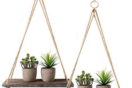 estantería plantas