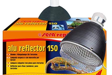 Lampara reptiles