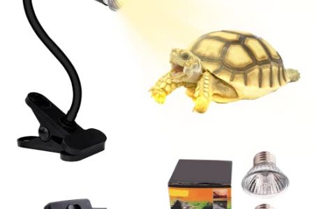 Lampara tortuga