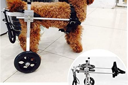 Silla de ruedas para perros