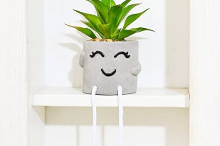 Plantas escritorio