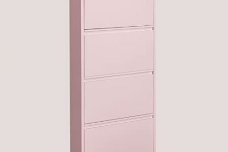 Zapatero rosa