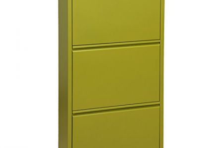 Zapatero verde